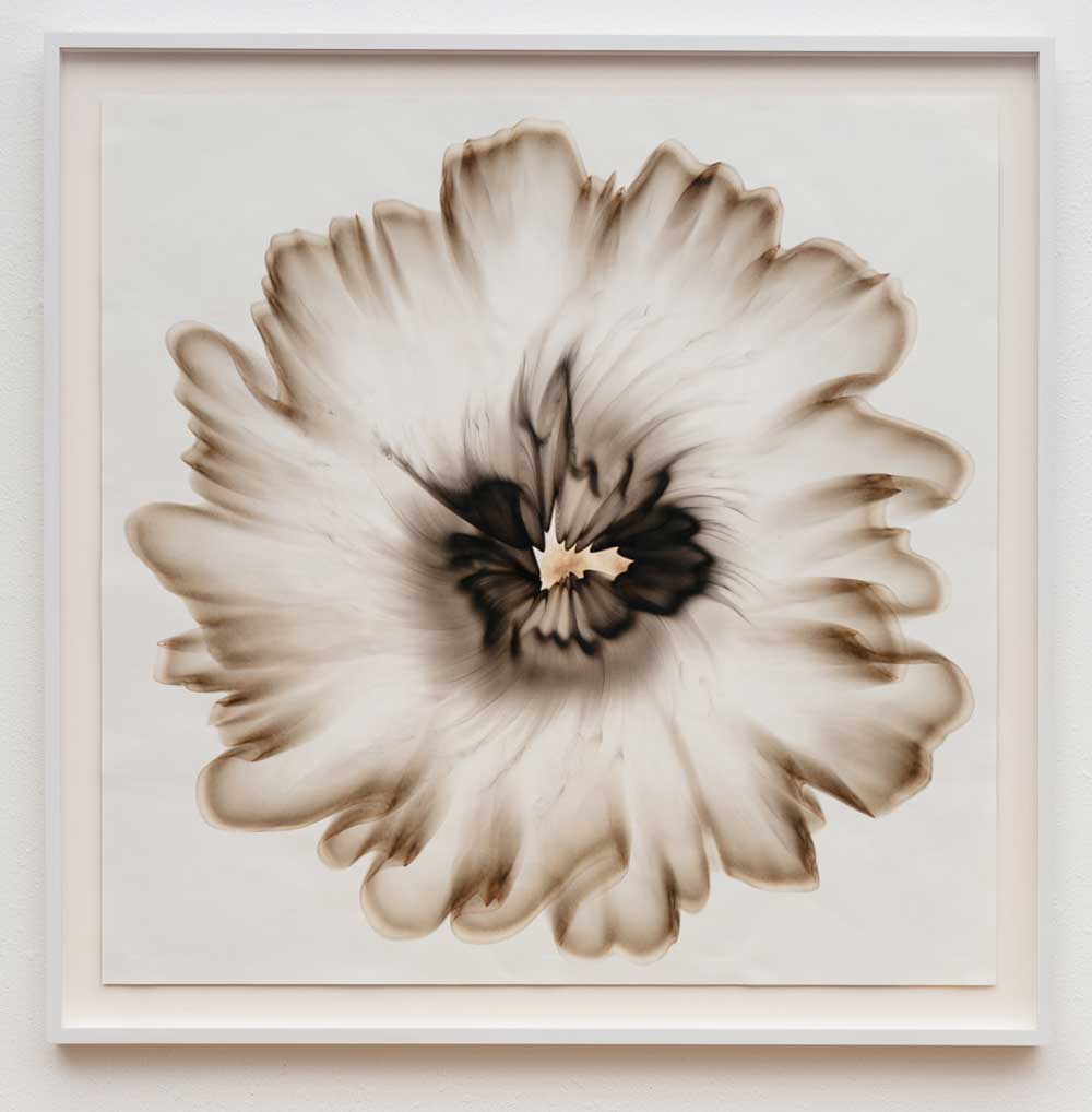 Untitled 38, Smoke on paper, 47 x 47", framed SOLD