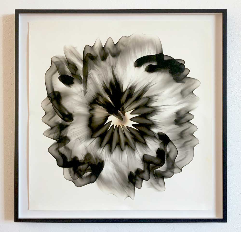 Untitled L, Smoke on paper, 38 x 38" framed, SOLD