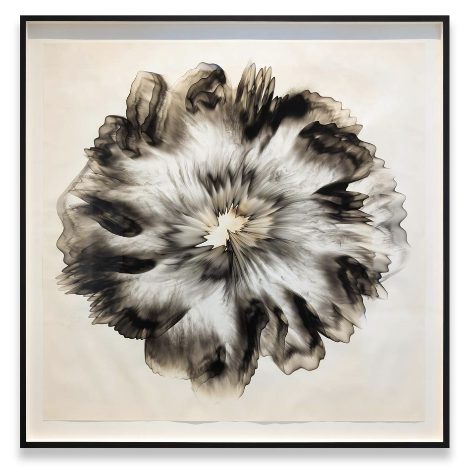Untitled B 22.1 Smoke on paper, 72.5 x 72.5 inches