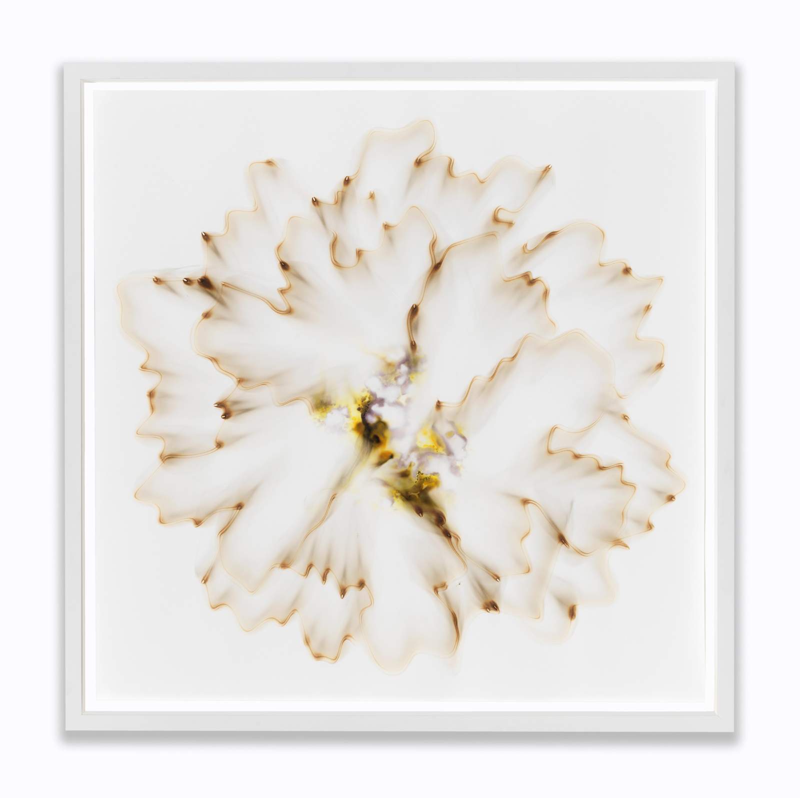 Untitled C 34.3, Smoke and colored smoke on paper, 39 ¾ x 39 ¾ inches