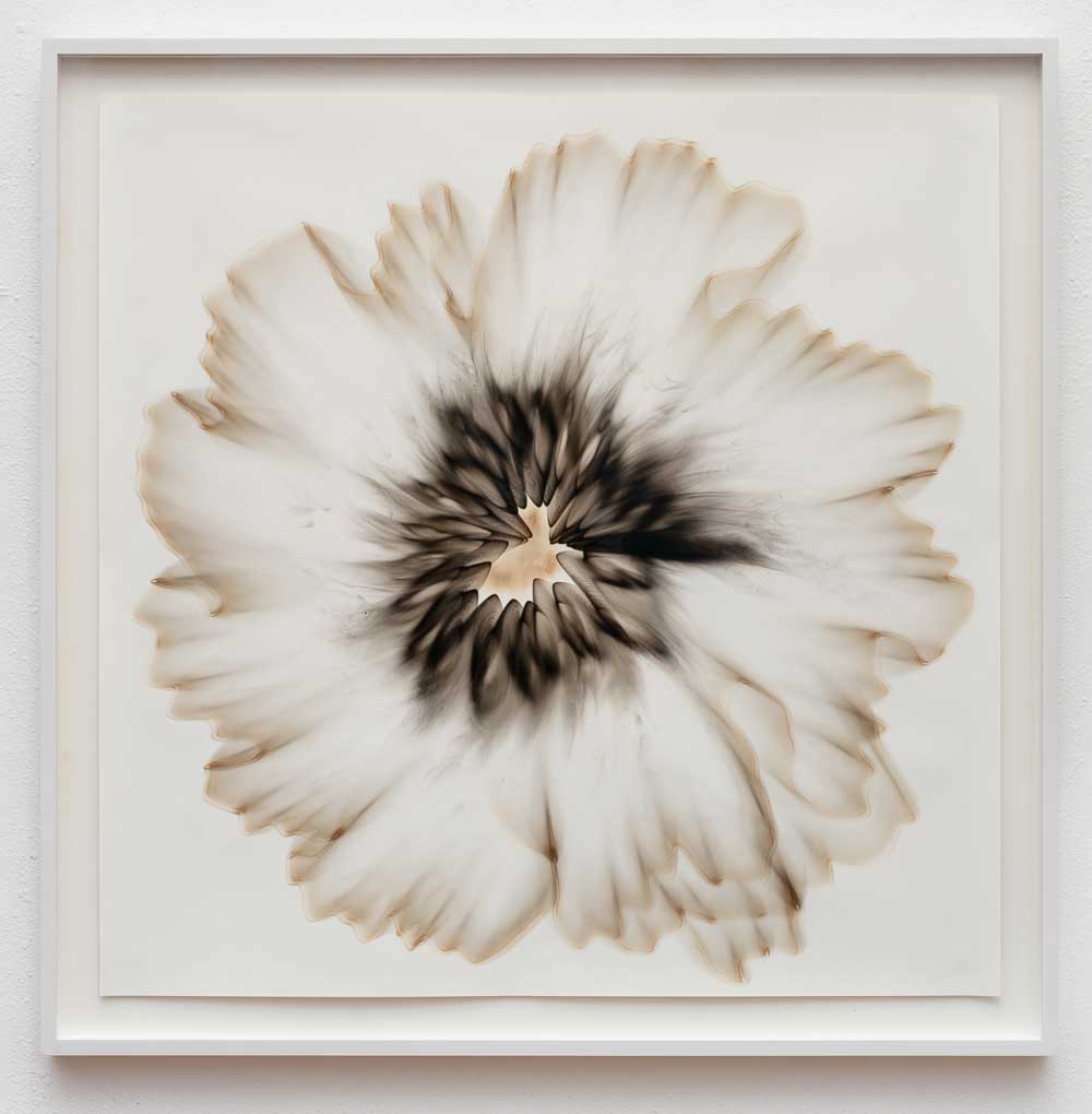Untitled 2.9, 2022, Smoke on paper, 47 x 47 inches, SOLD