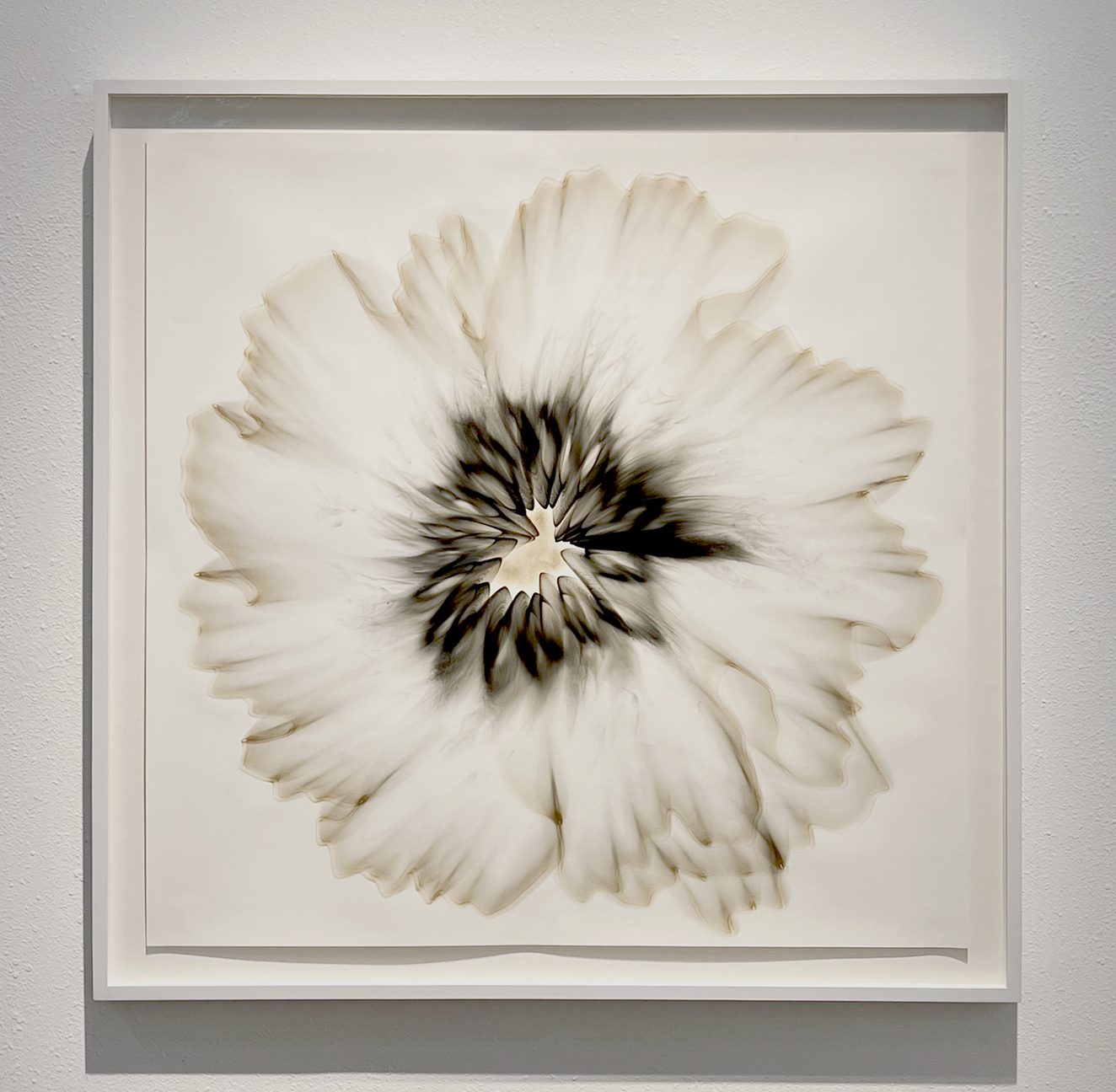 Untitled, 2.9, 2022, Smoke on paper, 47 x 47 inches