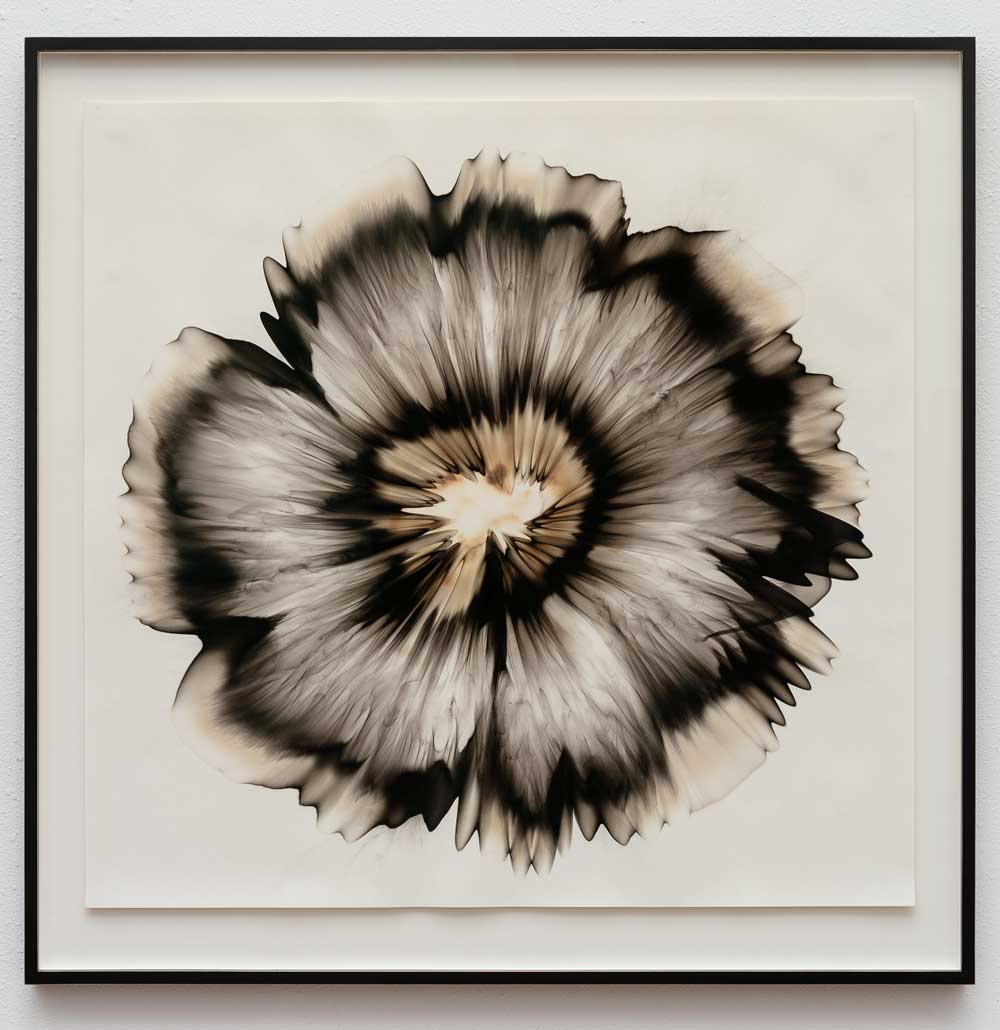 Untitled, 23.7 2022, Smoke on paper, 49 x 49 inches SOLD