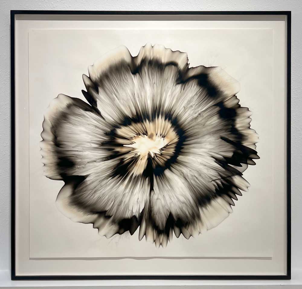 Untitled 23.7, 2022, Smoke on paper, 49 x 49 inches